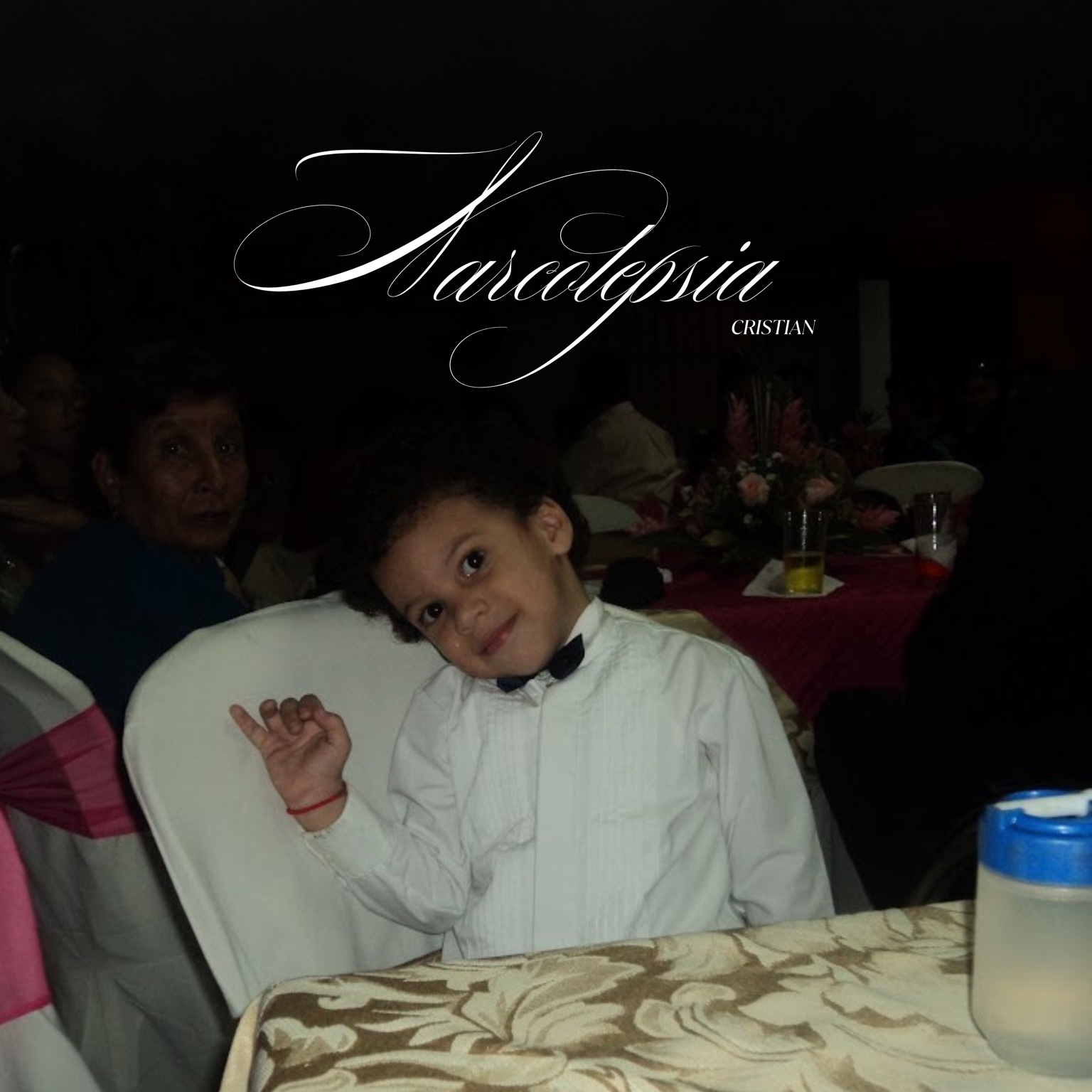 Proyecto 2